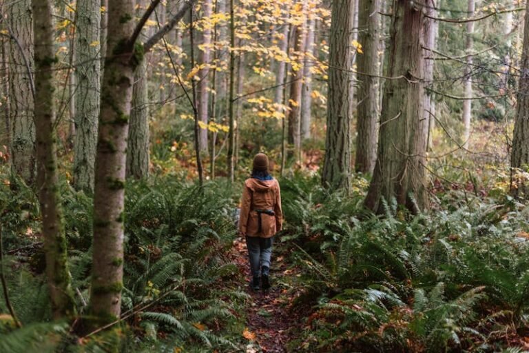 Outdoor Activities and Lyme Disease Photo of a Woman Hiking in a Forest